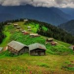 rize araba