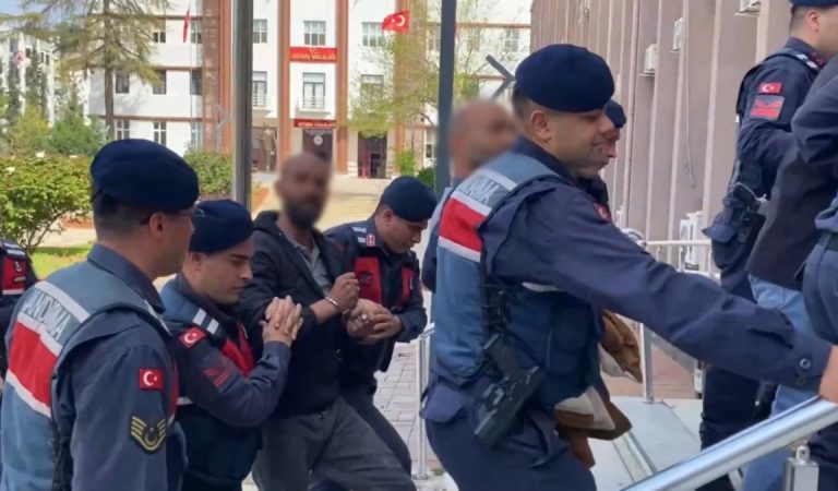 Aydın’da ‘civciv baronları’ isimli denetim kuralıyla özgür bırakıldı