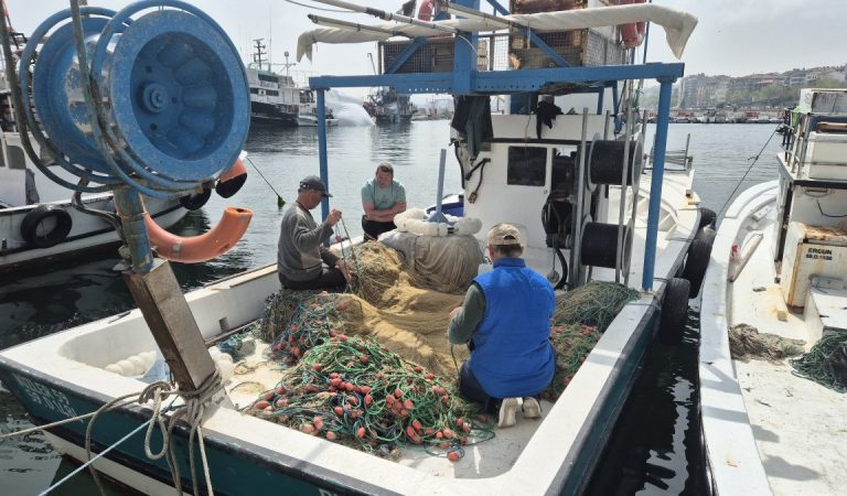 Marmara Denizi’nde müsilaj: Balık etine ziyan veriyor mu?