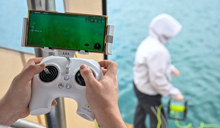 İstanbul Boğazı’ndaki deniz çayırlarının üzerindeki müsilaj arttı