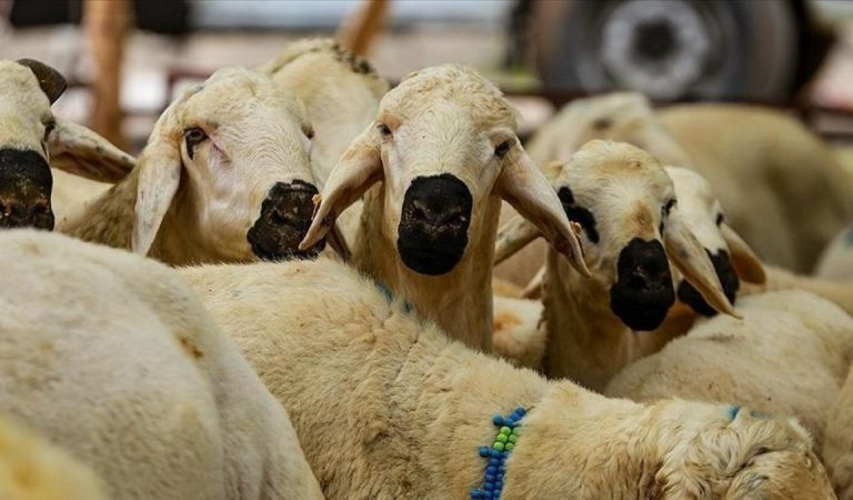Kurban Hizmetlerinin Uygulanmasına Dair Bildiri, Resmi Gazete’de