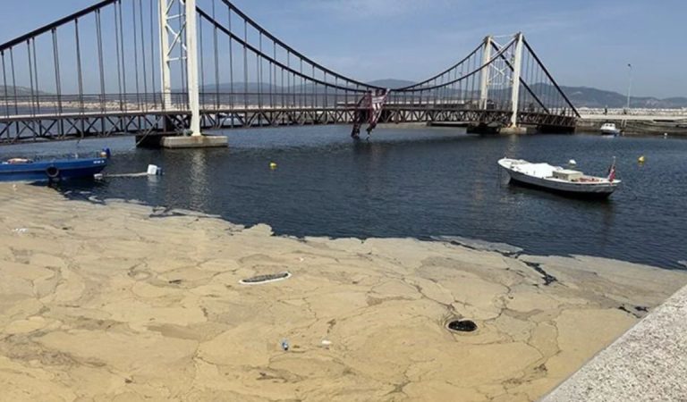 Marmara’dan Saros Körfezi’ne ulaşan müsilaj tehdidi sürüyor