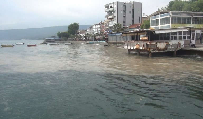 Marmara’nın turistik Gemlik körfezi müsilajla kaplandı